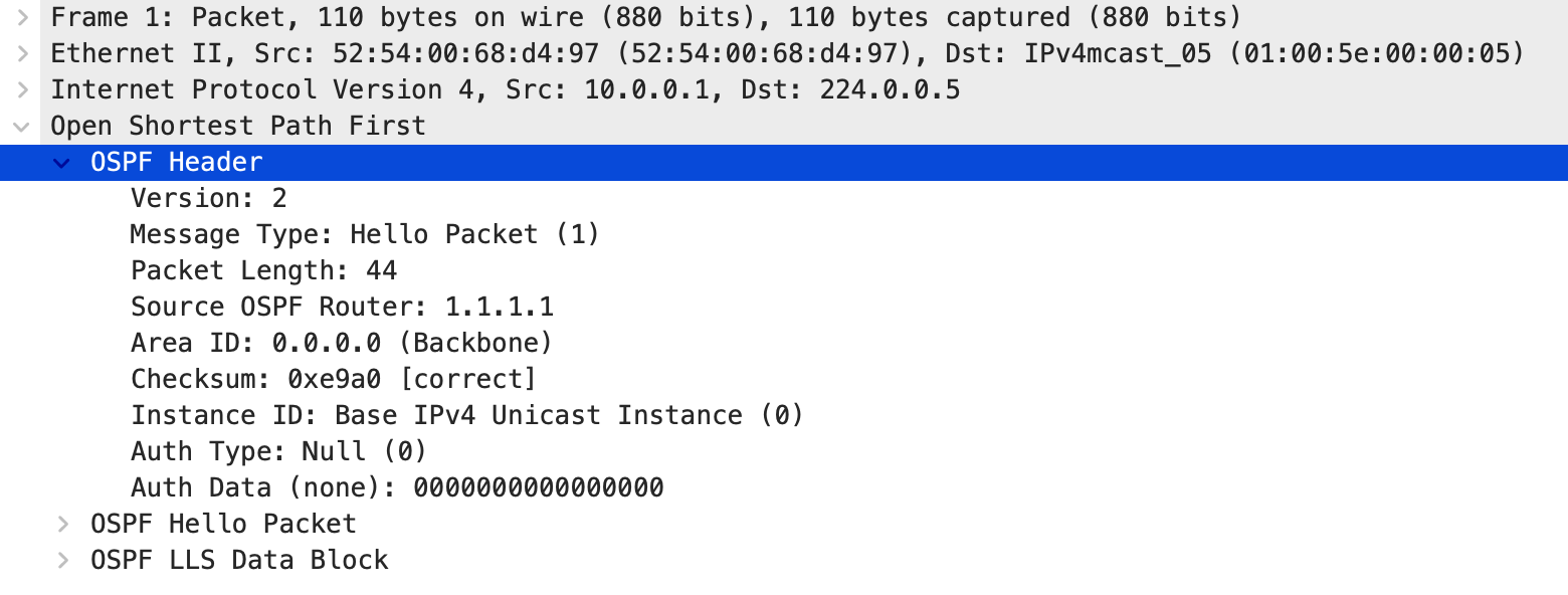 OSPF_Packet_Header